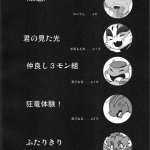 [Gun Modoki (Various)] MHM no H – Monster Hunter dj [JP] – Gay Manga sex 3
