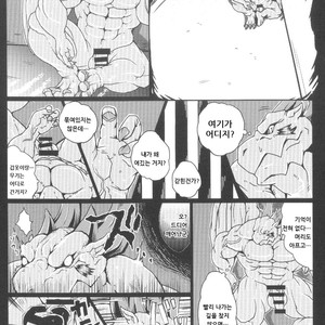[Aotokage (toka)] Breath of Fire III dj [kr] – Gay Manga sex 4