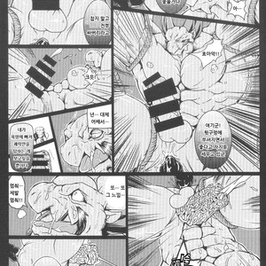 [Aotokage (toka)] Breath of Fire III dj [kr] – Gay Manga sex 8