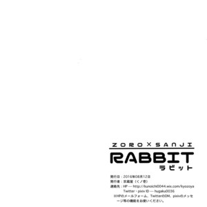 [Kyozoya (Kunoichi)] RABBIT – One Piece dj [JP] – Gay Manga sex 37