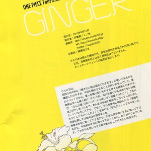 [Kyozoya (Kunoichi)] GINGER – One Piece dj [JP] – Gay Manga sex 3