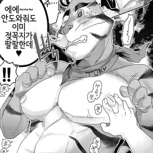 [Black Crusher (Donguri)] Tora Chichi Sakunyuu – Frosted Flakes dj [kr] – Gay Manga sex 6
