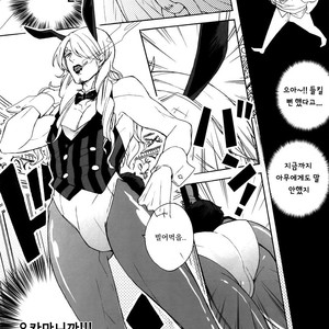 [Kyozoya (Kunoichi)] The Ruin of the Bunny Boy – One Piece dj [kr] – Gay Manga sex 4