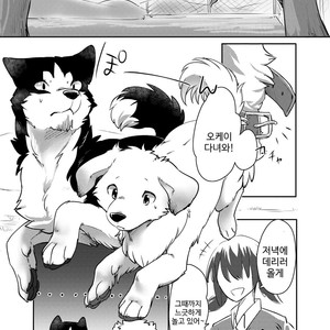 [D-Point! (Diga Tsukune)] More, more. [kr] – Gay Manga sex 4