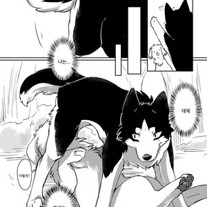 [D-Point! (Diga Tsukune)] More, more. [kr] – Gay Manga sex 13