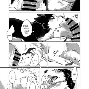 [D-Point! (Diga Tsukune)] More, more. [kr] – Gay Manga sex 19