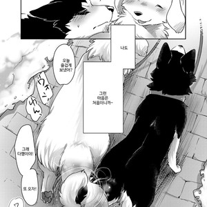 [D-Point! (Diga Tsukune)] More, more. [kr] – Gay Manga sex 36