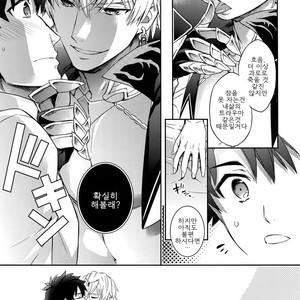 [Crazy9 (Ichitaka)] Shinen ni Itaru Koi – Fate/ Grand Order dj [kr] – Gay Manga sex 9