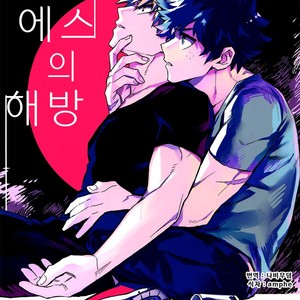 [Kometsubu] Esu no Kaihou – Boku no Hero Academia dj [kr] – Gay Manga thumbnail 001