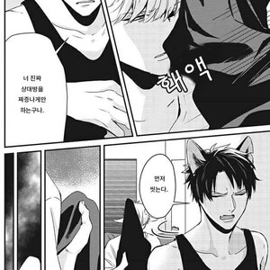 [Tokishiba] Yagi to Ookami no Hatsujou Jijou (c.1) [kr] – Gay Manga sex 22