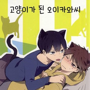 [Shounen-H (Yuuki)] Neko ni Natta Oikawa-san – Haikyuu!! dj [kr] – Gay Manga thumbnail 001