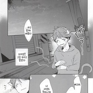 [Shounen-H (Yuuki)] Neko ni Natta Oikawa-san – Haikyuu!! dj [kr] – Gay Manga sex 6