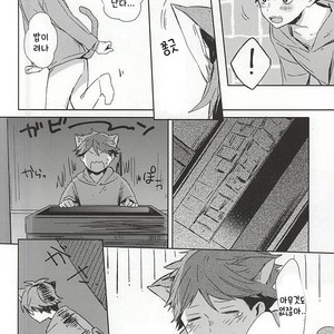 [Shounen-H (Yuuki)] Neko ni Natta Oikawa-san – Haikyuu!! dj [kr] – Gay Manga sex 7