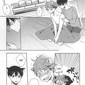 [Shounen-H (Yuuki)] Neko ni Natta Oikawa-san – Haikyuu!! dj [kr] – Gay Manga sex 18