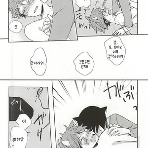 [Shounen-H (Yuuki)] Neko ni Natta Oikawa-san – Haikyuu!! dj [kr] – Gay Manga sex 21
