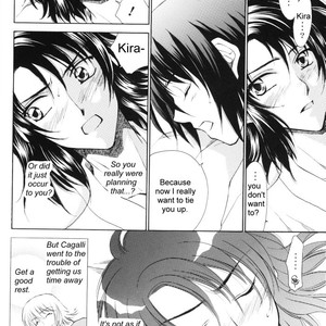 [Yougekishu (Arina Toshimi)] sweet honey moon – Gundam SEED DESTINY dj [Eng] – Gay Manga sex 11