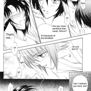 [Yougekishu (Arina Toshimi)] sweet honey moon – Gundam SEED DESTINY dj [Eng] – Gay Manga sex 17