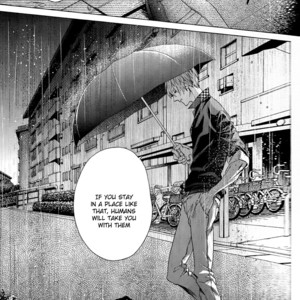 [Pokela Ichigo/ Fujino] Kuroko no Basket dj – Vampire to Kuro Neko (Part One) [Eng] – Gay Manga sex 8