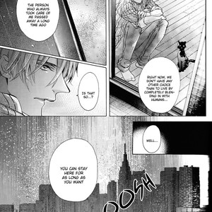 [Pokela Ichigo/ Fujino] Kuroko no Basket dj – Vampire to Kuro Neko (Part One) [Eng] – Gay Manga sex 16