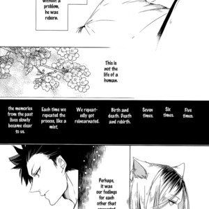 [Ruppo (Ayuko)] Haikyu!! dj – A Werecat Story [Eng] – Gay Manga sex 22