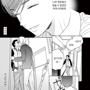 [Tamekou] Kakkou no Yume – Vol.01 [kr] – Gay Manga sex 110
