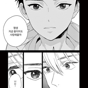 [Tamekou] Kakkou no Yume – Vol.01 [kr] – Gay Manga sex 166