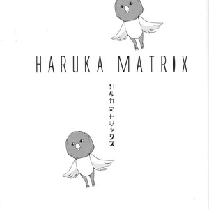 [Omega 2D] Haruka MATRIX – Free! dj [JP] – Gay Manga sex 2