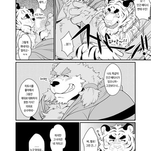 [Bear Tail (Chobikuma)] Toradorei – KEMONO Company 2 [kr] – Gay Manga sex 19