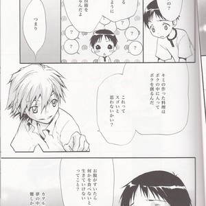 [RAYTREC] Sōsei-ki o oite sukoshi hanasou – Evangelion dj [JP] – Gay Manga sex 20