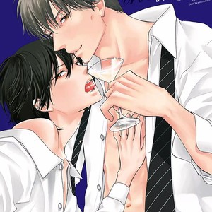 [Hashimoto Aoi] Between the Sheets [Eng] {ExR Scans} – Gay Manga sex 3