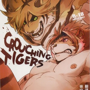 [Senmatu-Chaya (Kamado)] CROUCHING TIGERS – Tokyo Afterschool Summoners dj [cn] – Gay Manga thumbnail 001