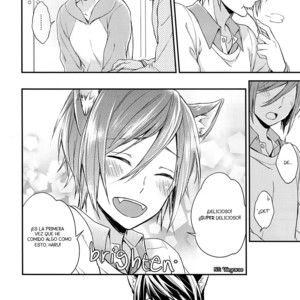 [Overrunner (Rihara)] Free! dj – Kittens on Parade [Esp] – Gay Manga sex 11