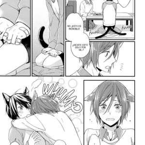 [Overrunner (Rihara)] Free! dj – Kittens on Parade [Esp] – Gay Manga sex 12