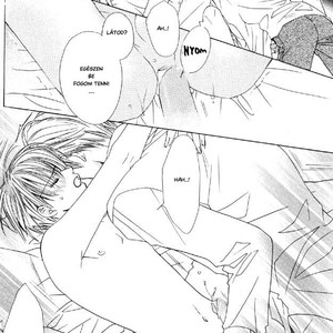 [Minami Haruka] A Pair of Lovers in a Private Room [Hu] – Gay Manga sex 15