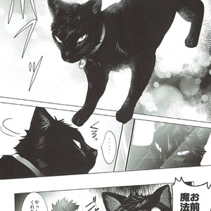 [KUROQUIS (Kuro)] As you Desire – Haikyuu!! dj [JP] – Gay Manga sex 19