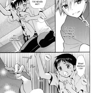 [RAYTREC (Fuyunagi Reku)] +PLUS – Neon Genesis Evangelion dj [Eng] – Gay Manga sex 17