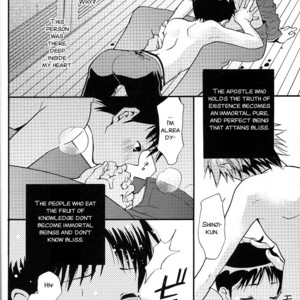 [RAYTREC (Fuyunagi Reku)] +PLUS – Neon Genesis Evangelion dj [Eng] – Gay Manga sex 22