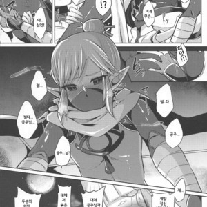 [Maltese (Runrun)] Yuuwaku no Akaitsuki to Futari no Himitsu – The Legend of Zelda dj [kr] – Gay Manga sex 14