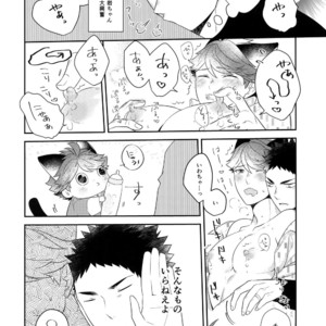 [Rototika (Kamishi Yue)] Iwachan no Neko ni Naritai 6 – Haikyuu!! dj [JP] – Gay Manga sex 25