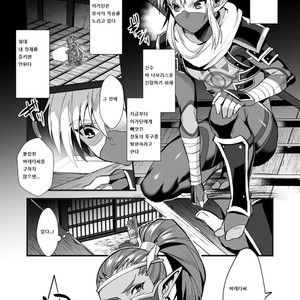 [Morittokoke (Morikoke)] Eiketsu Ninja Gaiden ~Haiboku Hen~ The Legend Of Zelda dj [kr] – Gay Manga sex 5