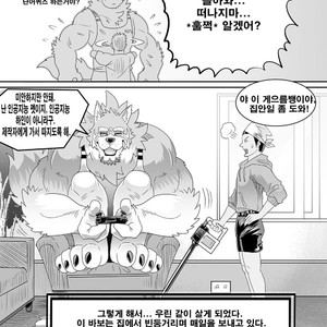 [KUMA HACHI] Do Not Install this FURRY App! (vol.1) [kr] – Gay Manga sex 36