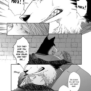 [Tomochi] Kinai – Kemonohito Omegaverse [Eng] – Gay Manga sex 149