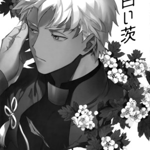 [Yoke (Emya)] Shiroi Ibara – Fate/ Grand Order dj [JP] – Gay Manga sex 2