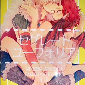 Segregated Euphoria – Boku no Hero Academia dj [JP] – Gay Manga thumbnail 001