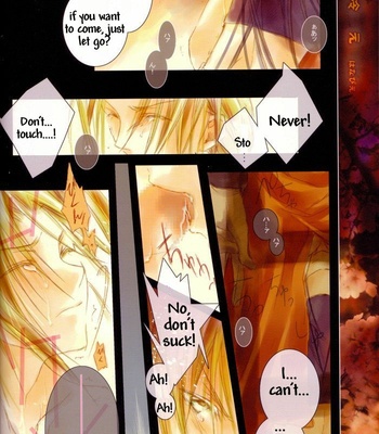 [Gyarandoh] Fullmetal Alchemist dj – Bean’s Kingdom [Eng] – Gay Manga sex 18