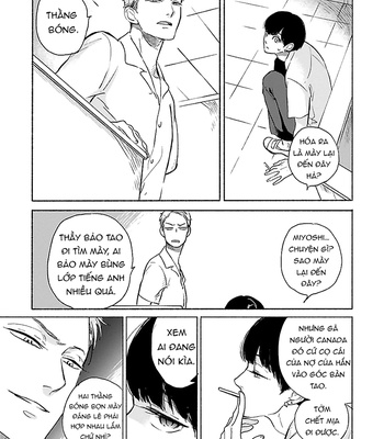 [Scarlet Beriko] Jackass! – Sawatte Ii tte Dare ga Itta yo? (update c.2) [vi] – Gay Manga sex 23