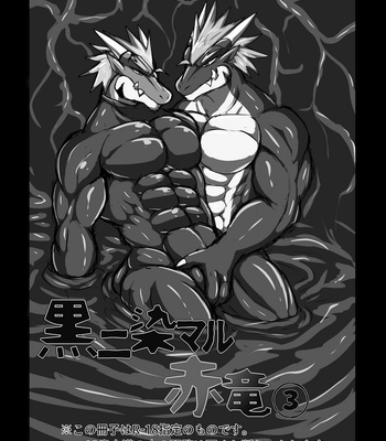 [Keito] Crimson Dragon Dyed in Black ③ [Eng] – Gay Manga sex 2