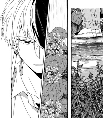 [Grimu] Tú Flor de Cristal – Boku no Hero Academia dj [Esp] – Gay Manga sex 31