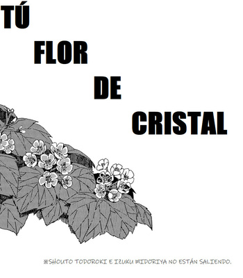 [Grimu] Tú Flor de Cristal – Boku no Hero Academia dj [Esp] – Gay Manga sex 4