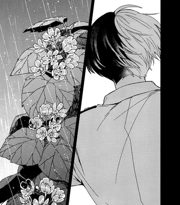 [Grimu] Tú Flor de Cristal – Boku no Hero Academia dj [Esp] – Gay Manga sex 42